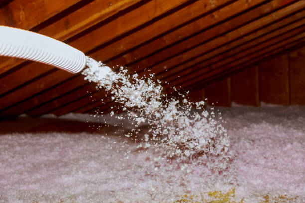 Best Insulation for New Construction  in Mason City, IA