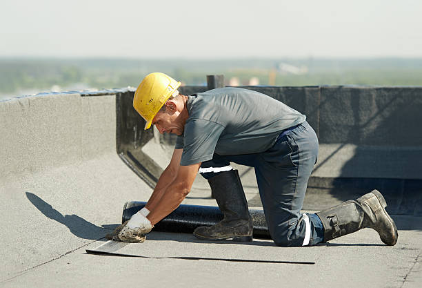 Best Insulation Contractor Near Me  in Mason City, IA