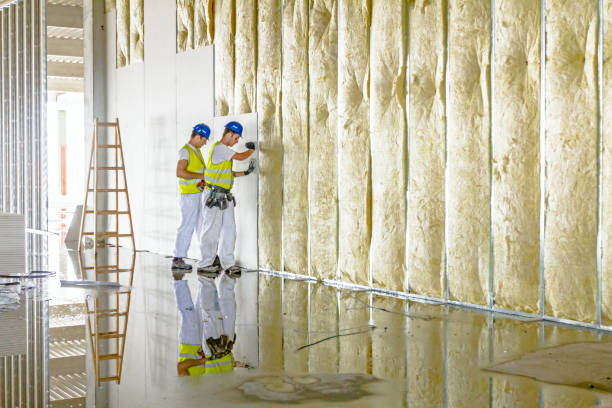 Insulation Repair Services in Mason City, IA